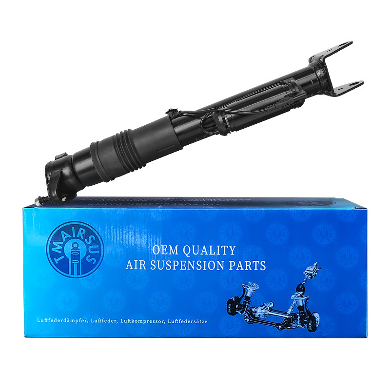 Long-Lasting Car Shock Absorber 2513201931 For Mercedes-Benz W251/R300 Rear Position Steel And Rubber Material