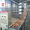 Buy cheap H Type Layer Battery Cage System 4 Rows Layer Poultry Farm Equipment CE Approval Sandy from wholesalers