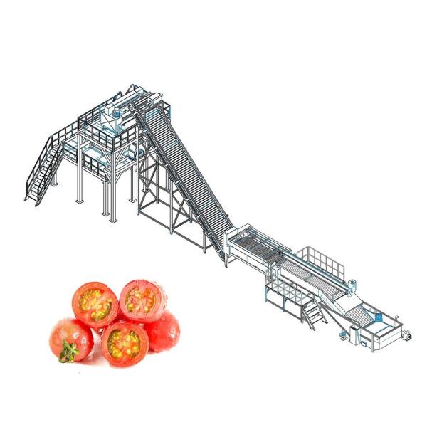Buy cheap Automatic Tomato Processing Line For Paste Making 110V from wholesalers