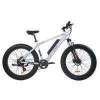 Buy cheap 48V Electric Assist Fat Bike Intelligent Controller Mechanical Disc Brakes product