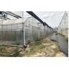 Buy cheap Vegetables Multi Span Agricultural Greenhouse Plant Plastic Film Greenhouse from wholesalers
