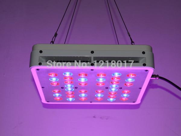 Buy cheap Top Quality Apollo 4 horticulture Full Spectrum 200w Hans Panel Led Grow Light from wholesalers