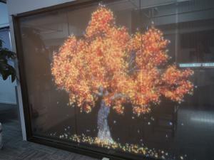 Wholesale RGB Color LED Transparent Screen Outdoor Transparent LED Display For Shop Windows from china suppliers