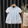 Buy cheap Sky Light Blue Lace Children'S Dress Clothing For Girls Summer Season from wholesalers