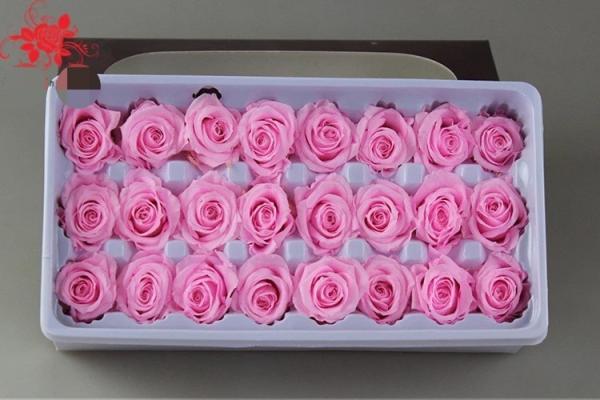 Wholesale real preserved rose stabilized natural preserved fresh flowers for