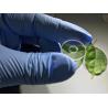 Buy cheap Corrosion Resistance Sapphire Components Bearing Gasket With Hole Tolerance ±0.03mm from wholesalers
