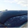 Buy cheap GT1000 High Strength PP Woven Geotextile 200kn/M Geotube Breakwater In Marine Project from wholesalers