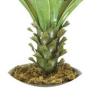 Buy cheap Anti UV Artificial Succulent Plant Landscaping Tropical Fiber Agave from wholesalers