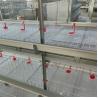 Buy cheap Fully Automated Galvanized Broiler Cage Poultry Farm Equipment Sale Automatic Feeding System Livestock For Wholesales from wholesalers