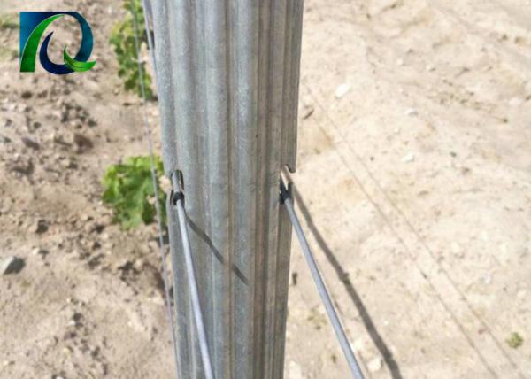 Buy cheap 1.5mm 2.0mm 50x40mm Metal Vineyard Trellis Posts With H Holes from wholesalers
