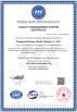 Dongguan Datong Mold Fittings Co. Certifications