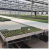 Buy cheap Seedbed Table Galvanized Steel Frame PE Plastic Film Large Conneted Tunnel Greenhouse Rolling Bench from wholesalers