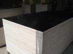 18mm construction grade film faced plywood shuttering plywood/18mm Marine