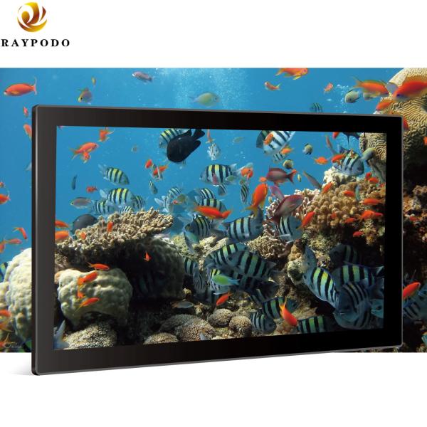 Buy cheap Advertising Displayer Full HD Touchscreen Monitor Raypodo 18.5'' 1366 * 768 For Super Market from wholesalers