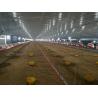 Buy cheap Prefab Steel Structure Chicken House Fireproof Farm Steel Frame Building Construction from wholesalers