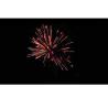 Buy cheap Chinese 30 Shots Consumer Cake Fireworks From Liuyang from wholesalers