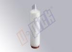 Electronic Grade 0.2 Micron Membrane Filter Cartridge With Silicone O Rings