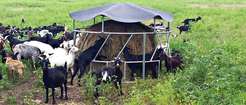 Multi Purpose Horse Round Bale Feeders For Cattle 2000mm OD