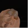 Buy cheap Full Contour Translucent Zirconia Crown for Aesthetically Pleasing Results from wholesalers