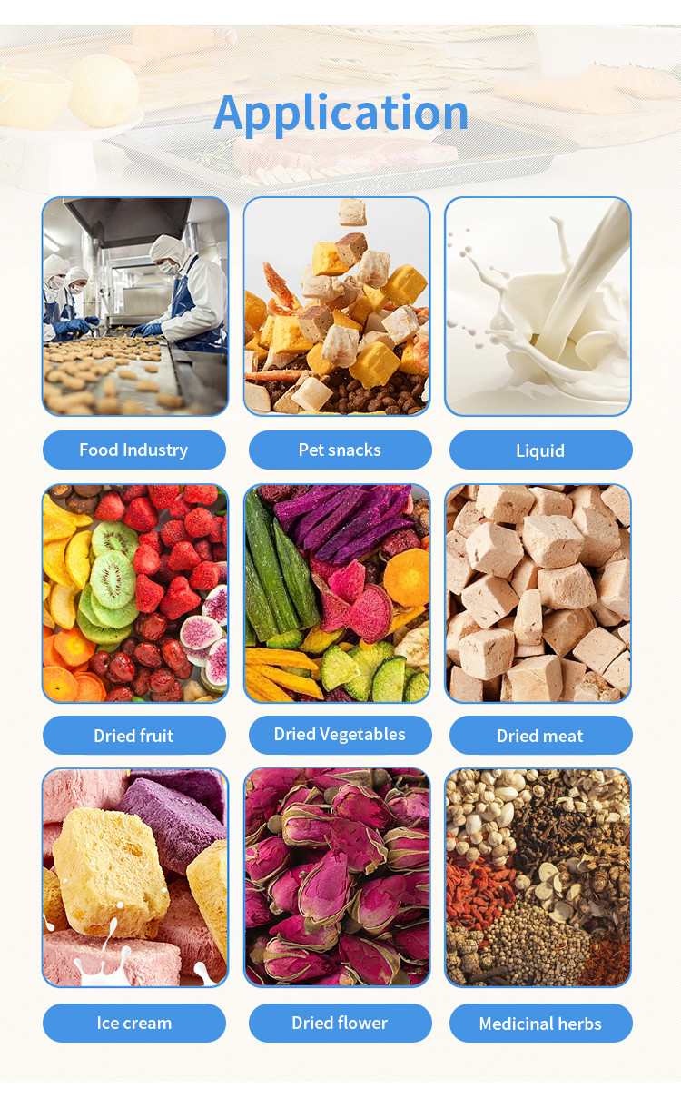750W Vacuum Freeze Dryer Food Drying Lyophilizer Machine 50hz For Home