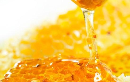 Buy cheap Stainless Steel Honey Press Machine , Easy Operate Commercial Honey Extractor from wholesalers