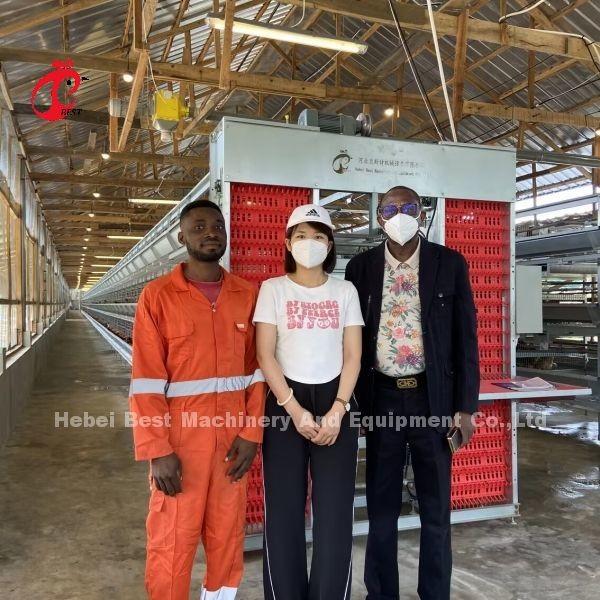 Buy cheap 200 Birds Automatic Chicken Battery Cage For Sale Egg Layer Cage Farm Ada from wholesalers