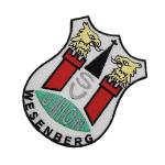 Heat Cut 4in Sports Team Patches Embroidery Logo Badges For Club