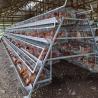 Buy cheap Battery 50000 Layers 5 Tier Broiler Cage System HDG Steel Material from wholesalers