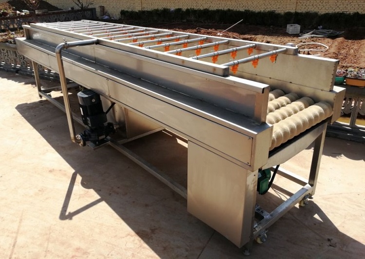 JOYSHINE Group's Mango Washing Machine Easy to Operate at 500kg/h Production Capacity