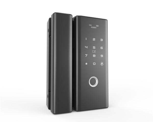 Buy cheap Wi-Fi Fingerprint Glass Door Lock from wholesalers