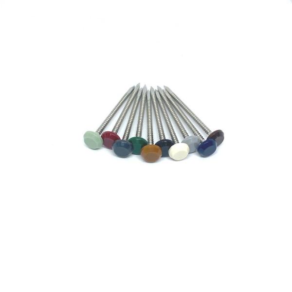 Buy cheap A4 Stainless Steel UV Stable Plastic Head Nails Nylon PA6 Head from wholesalers