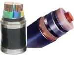 0.6/1KV XLPE Insulation YJV Power Cable，ECHU Power Cable