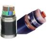 Buy cheap 0.6/1KV XLPE Insulation YJV Power Cable，ECHU Power Cable from wholesalers