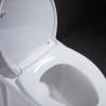 Buy cheap Elongated Siphonic One Piece Toilet 10 Rough In Leak Proof Soft Closing from wholesalers