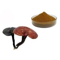 Buy cheap 50% Purity Ganoderma Lucidum Reishi Mushroom Extract Powder product