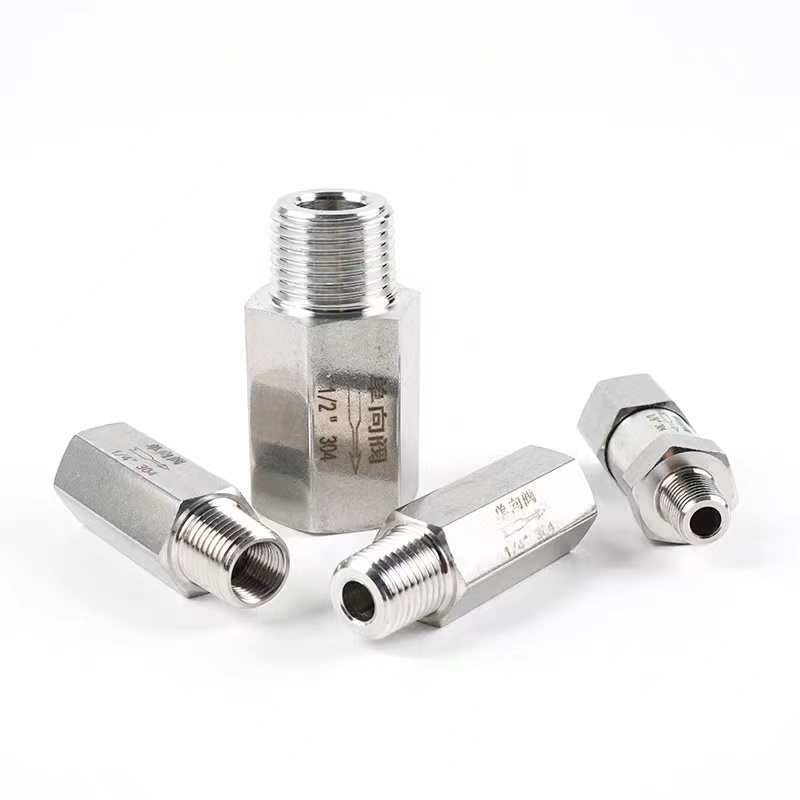 BSPP Thread 1/2 Inch Female and Male Non Return Valve CF8