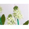 Buy cheap Emulation rapeseed lamp LED flower lamp outdoor lawn floor lamp lawn courtyard decoration lighting lamps from wholesalers