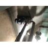 Buy cheap Horizontal Multistage Centrifugal Pump IP55 Protection Grade from wholesalers