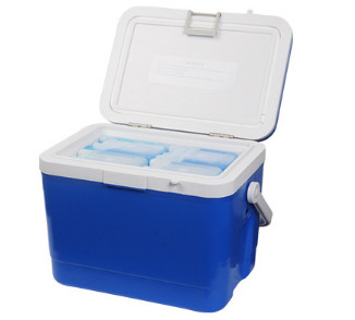 PP + PU Foam 17L Insulated Cool Box For Storaging Food , Beverage In Cars