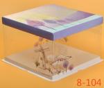 Disposable Clear/transparent Sandwich/cake Plastic Food Container/box/packaging