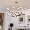 Buy cheap Living room Bedroom Wooden Tree Branch decorative lustre pendant home Chandelier lighting( WH-CI-107) from wholesalers