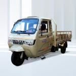 50*100 Chassis Motorized Tricycles for Adults Heavy-Duty 250cc Cargo Tricycles