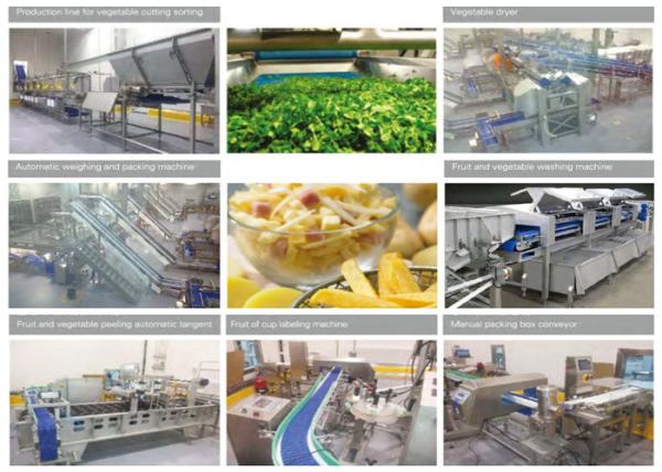 Buy cheap Fresh Cut Vegetable Canning Equipment Stainless Steel IP65 Protection Grade from wholesalers