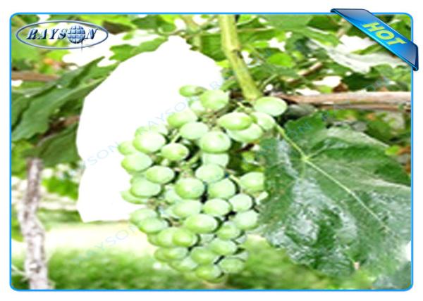 Buy cheap OEM Disposable Nonwoven Fruit Protection Bag For Grape Size 20 cm 22cm from wholesalers