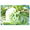 Buy cheap OEM Disposable Nonwoven Fruit Protection Bag For Grape Size 20 cm 22cm from wholesalers