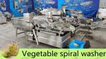 Fruit and Vegetable Washer Cleaning Machine for Fresh Cut Iceberg Lettuce