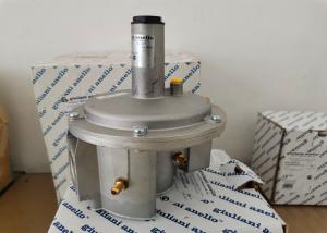 Wholesale FGDR32/50 Model Aluminium Gas Pressure Regulator With Built In Filter Italy Giuliani Anello Made from china suppliers