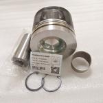 Excavator Parts Piston With Pin 1004016A56D 29220008001 29120014981 For