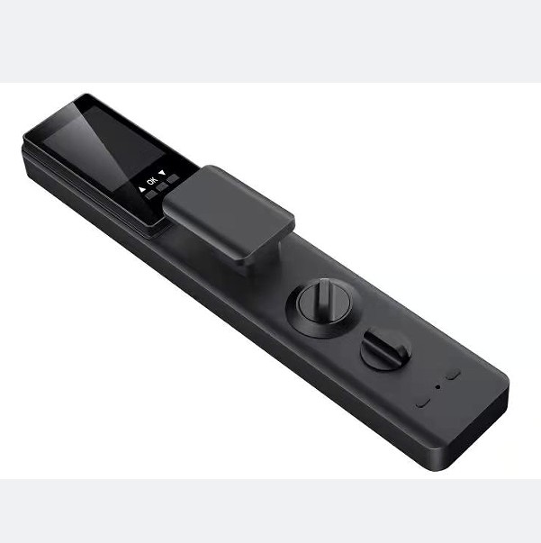 Smart Face Recognition Door Lock Rfid IC Cardf Wifi APP Combination Home