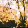 Buy cheap Durable 48 ft outdoor flexible led Light string Hanging E27 E26 Sockets waterproof belt clip Patio Lights from wholesalers